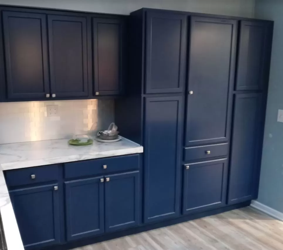 Bold Contemporary Kitchen Remodel by Safeguard Renovation & Remodeling project photo 2